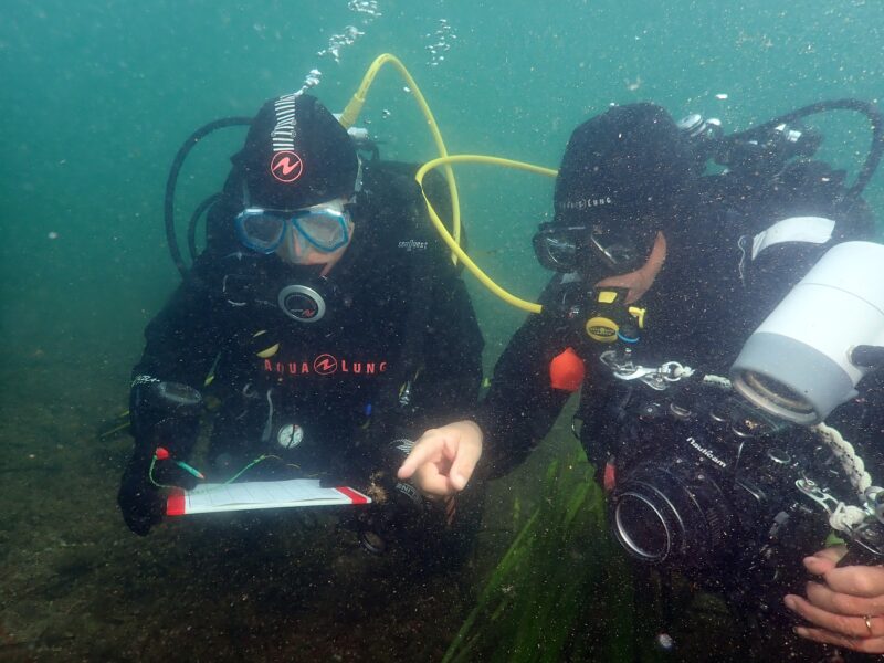 APECS Volet « poissons » dans le cadre de l&rsquo;Atlas intercommunal (ABI) de Brest Métropole