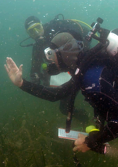 Vidéo de présentation du protocole d&rsquo;inventaire en plongée des poissons de la rade de Brest