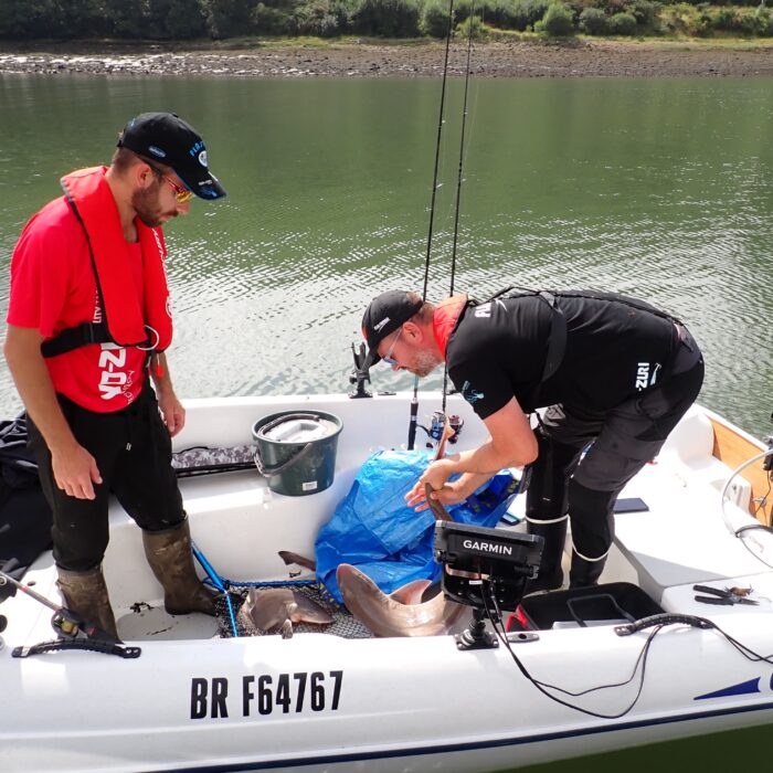 APECS 1ère édition du challenge émissole en rade de Brest