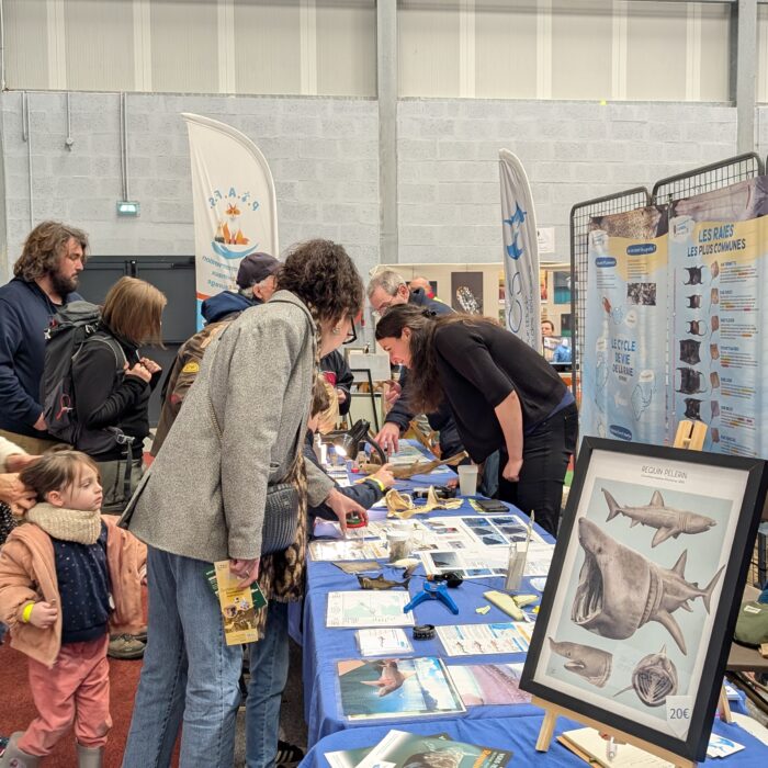 APECS Bilan du festival Natur&rsquo;Armor