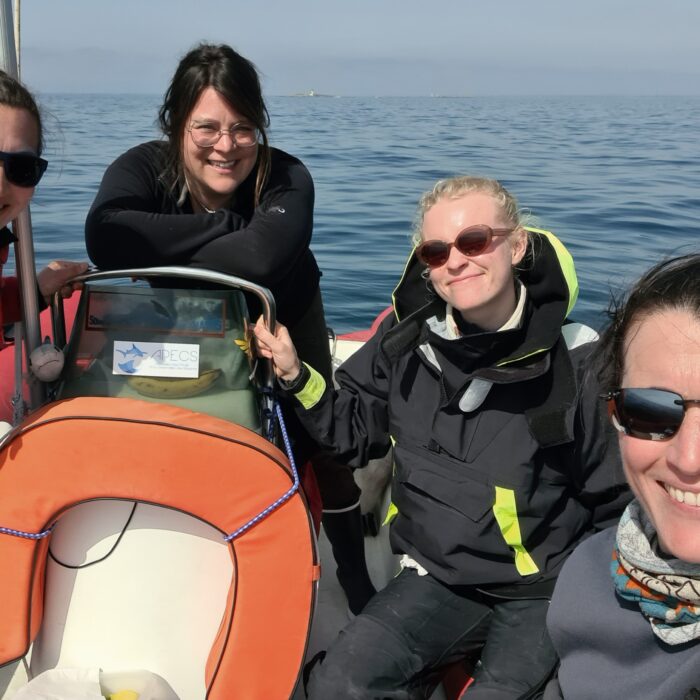 APECS Journée mondiale du requin pèlerin à l’initiative de Basking Shark Scotland
