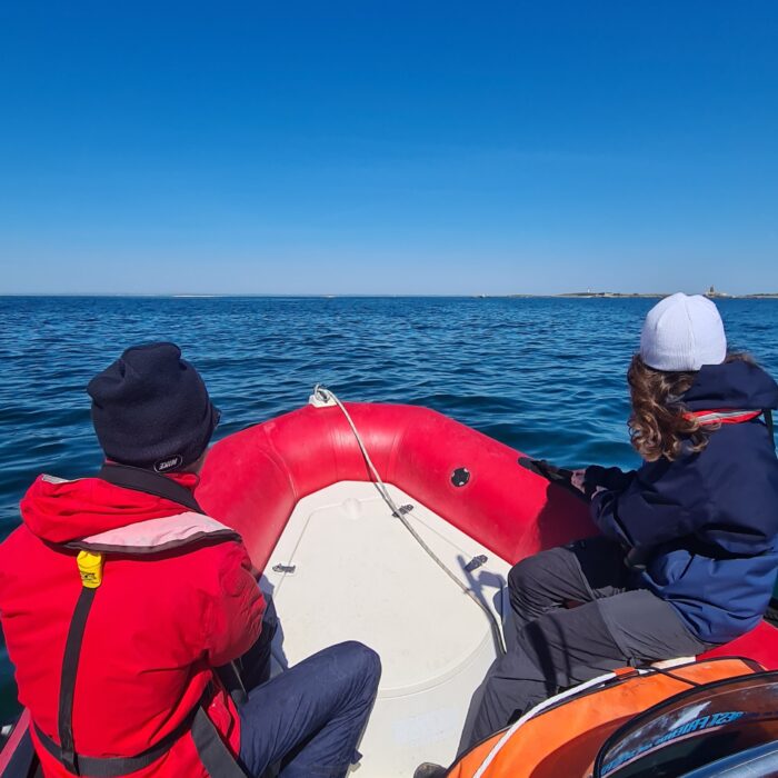 APECS Journée mondiale du requin pèlerin à l’initiative de Basking Shark Scotland