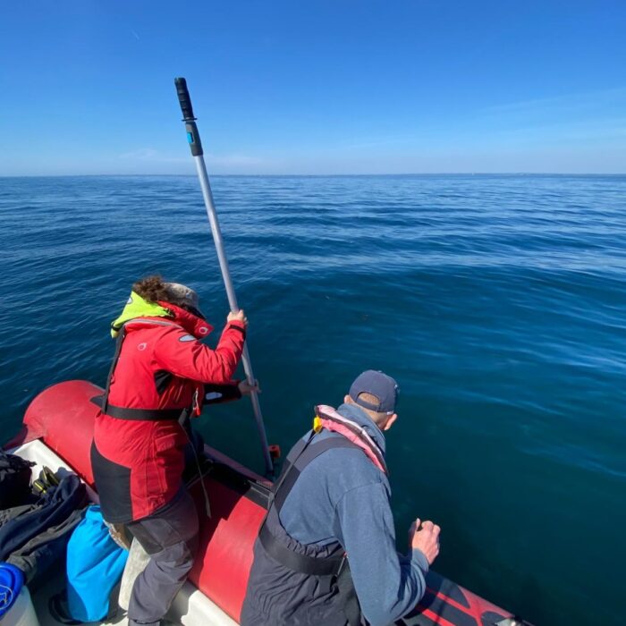 APECS Journée mondiale du requin pèlerin à l’initiative de Basking Shark Scotland