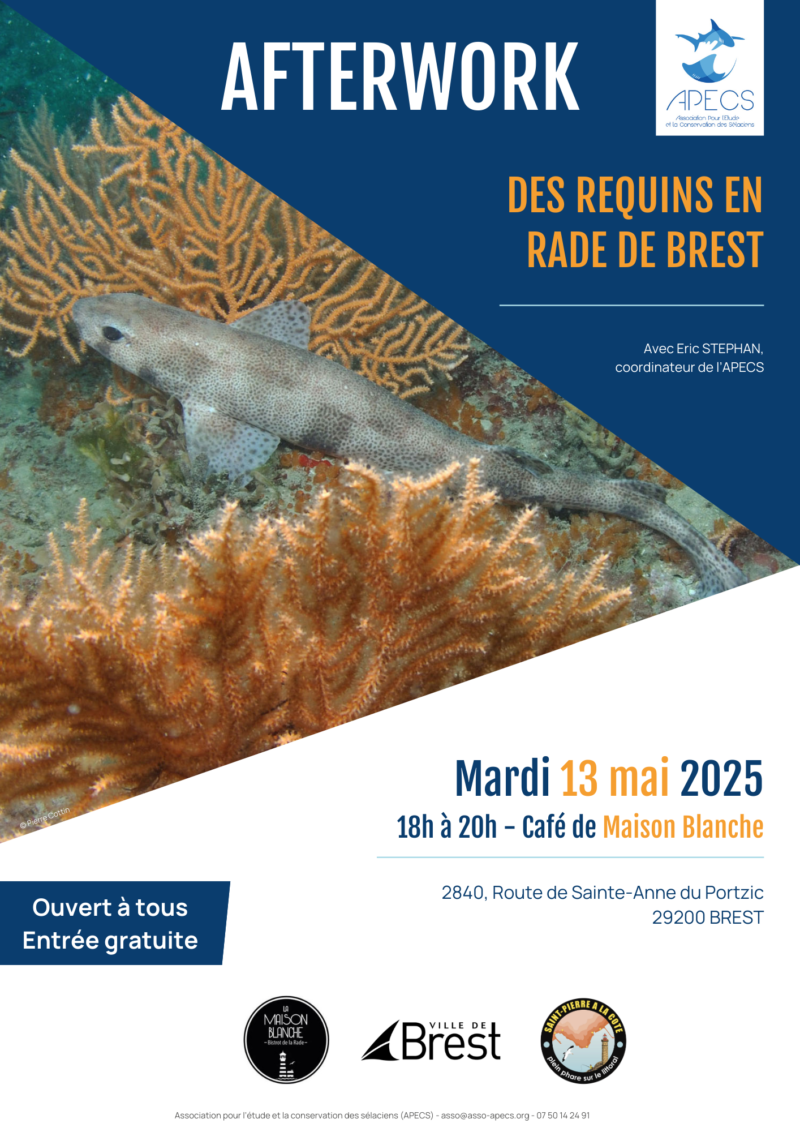 APECS Bilan des rendez-vous du mois de mai à Brest