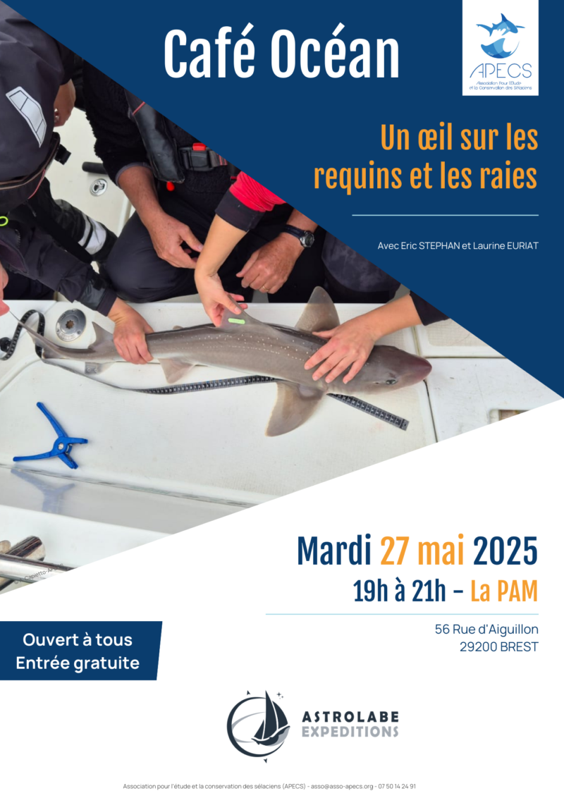APECS Bilan des rendez-vous du mois de mai à Brest