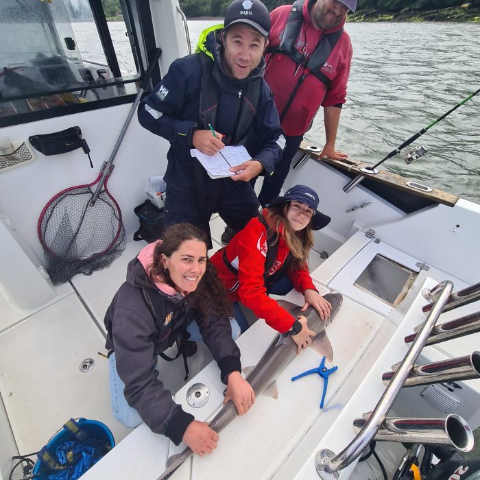 APECS Journée mondiale du bénévolat : merci à la team APECS