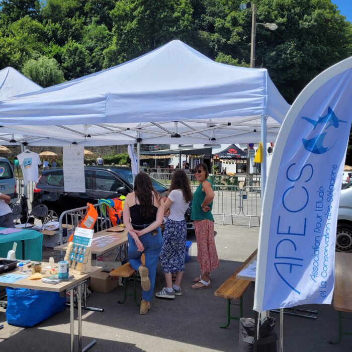 APECS Bilan des rendez-vous du mois de juin sur les côtes bretonnes