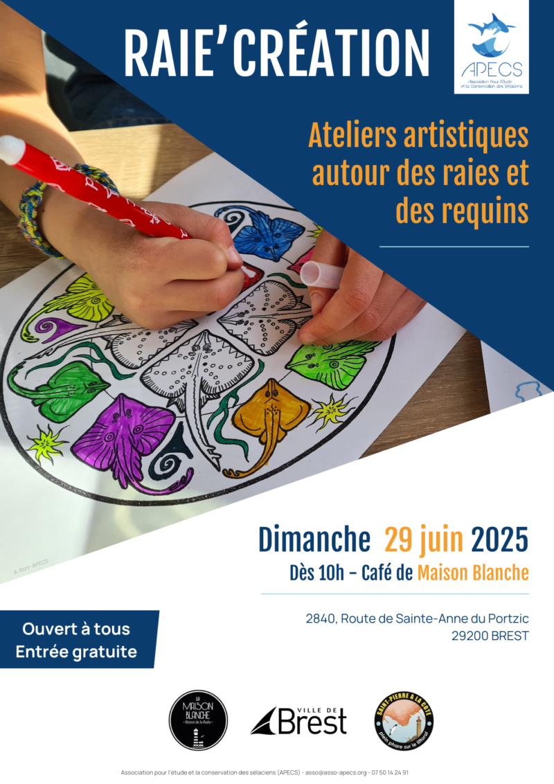 APECS Bilan des rendez-vous du mois de juin sur les côtes bretonnes