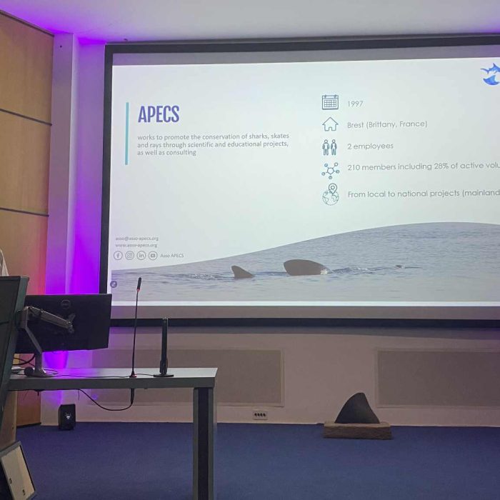 APECS Retour sur notre présence à la conférence internationale sur le requin pèlerin