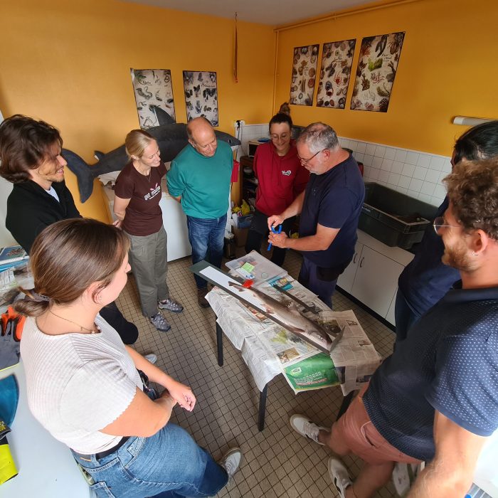 APECS L&rsquo;APECS embarque sur les campagnes scientifiques CGFS et EVHOE de l&rsquo;Ifremer
