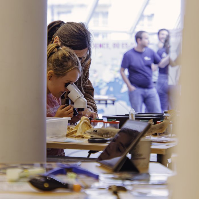 APECS Bilan : Fête de la science, samedi 4 et dimanche 5 octobre à Brest