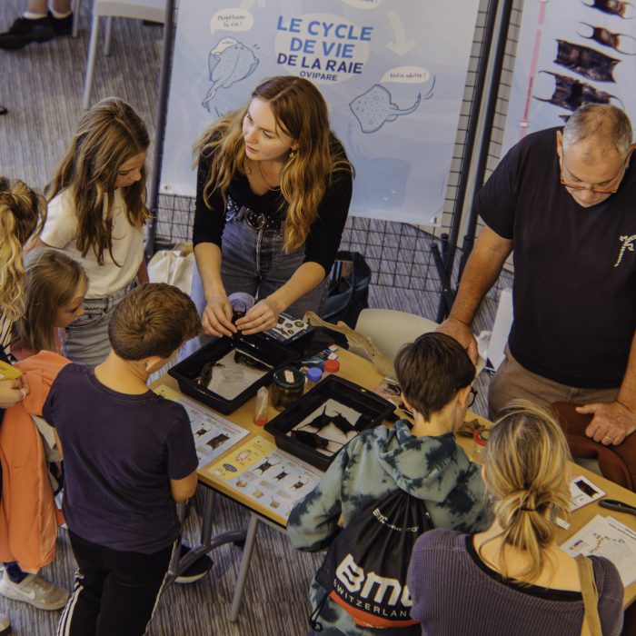 APECS Bilan : Fête de la science, samedi 4 et dimanche 5 octobre à Brest