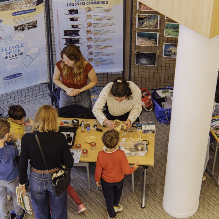 APECS Bilan : Fête de la science, samedi 4 et dimanche 5 octobre à Brest