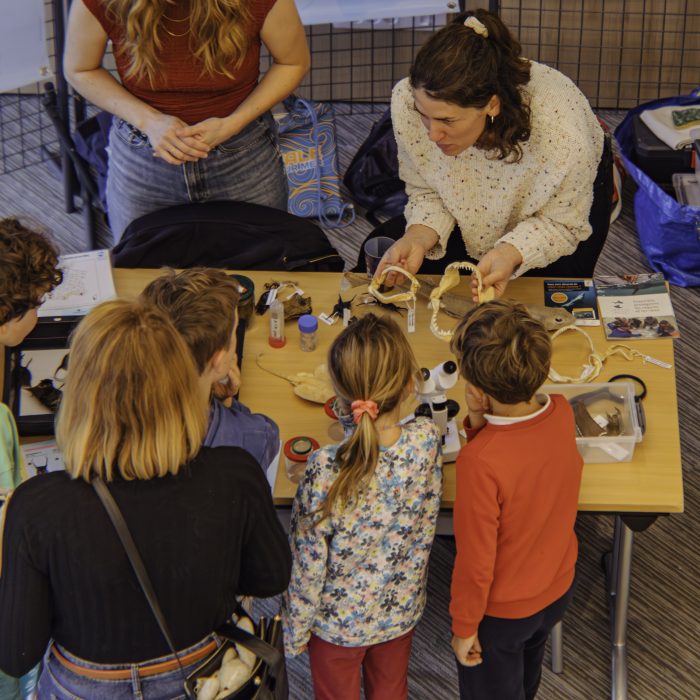 APECS Bilan : Fête de la science, samedi 4 et dimanche 5 octobre à Brest