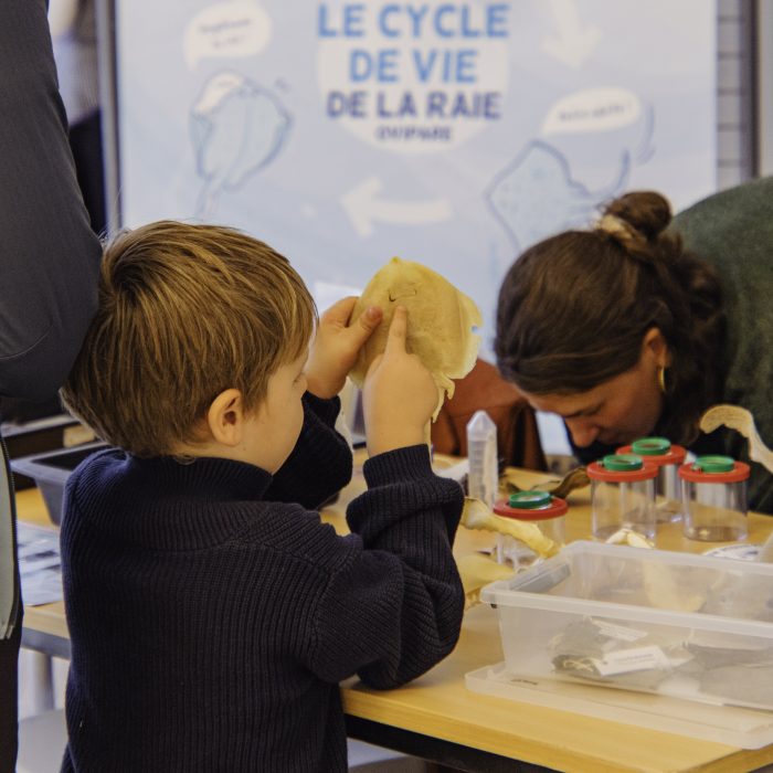 APECS Bilan : Fête de la science, samedi 4 et dimanche 5 octobre à Brest
