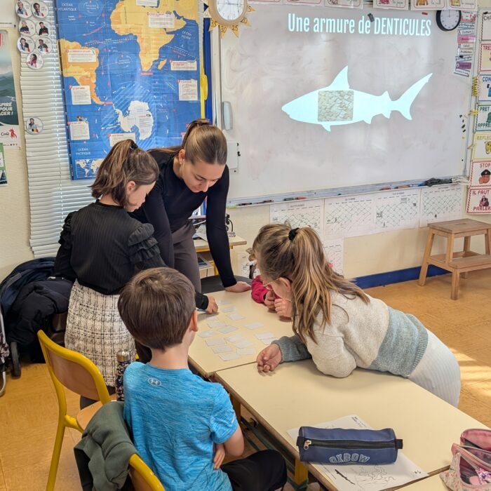 APECS Bilan des animations scolaires avec le Parc naturel marin d&rsquo;Iroise