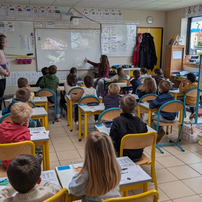 APECS Bilan des animations scolaires avec le Parc naturel marin d&rsquo;Iroise
