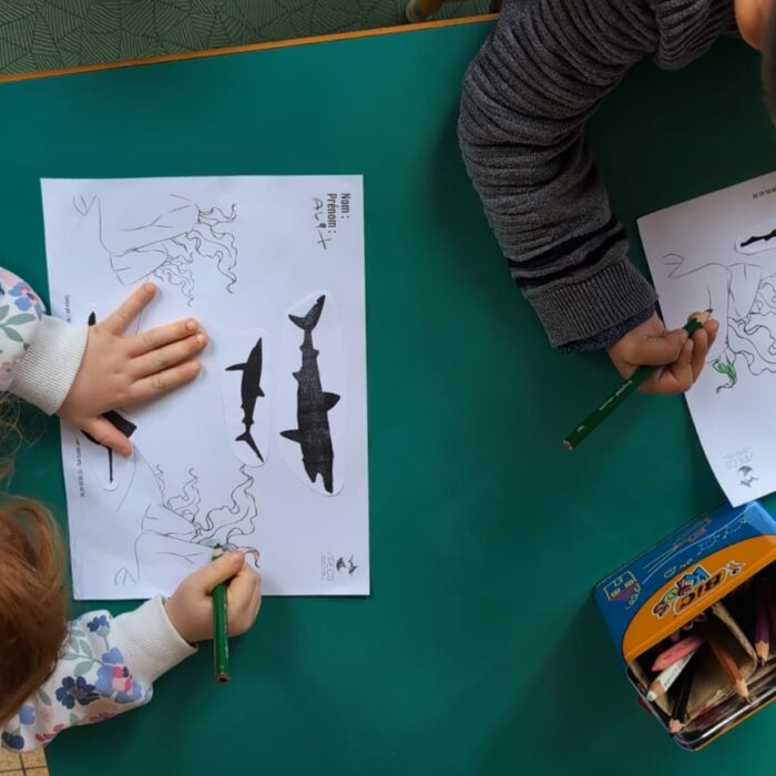 APECS Bilan des animations scolaires avec le Parc naturel marin d&rsquo;Iroise