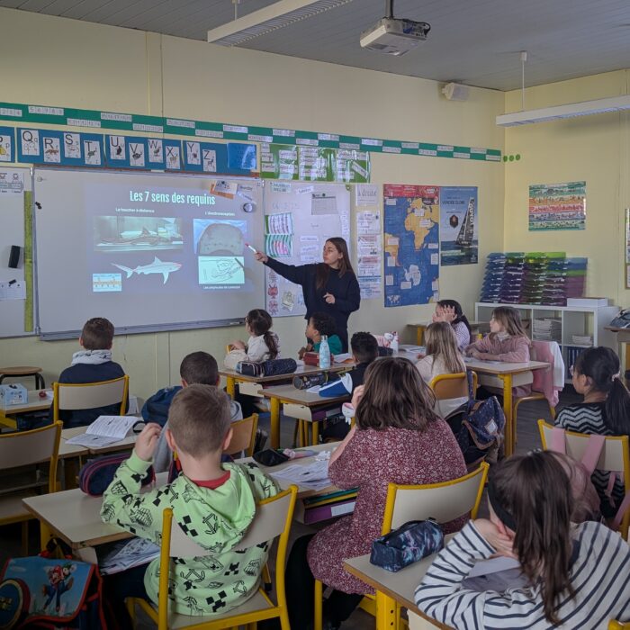 APECS Bilan des animations scolaires avec la Ville de Brest