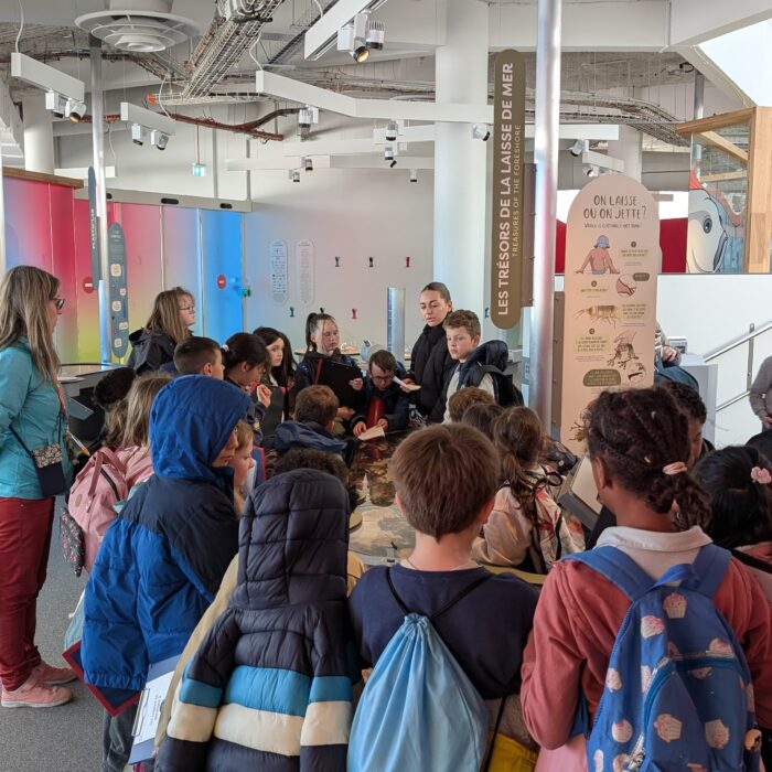 APECS Bilan des animations scolaires avec la Ville de Brest