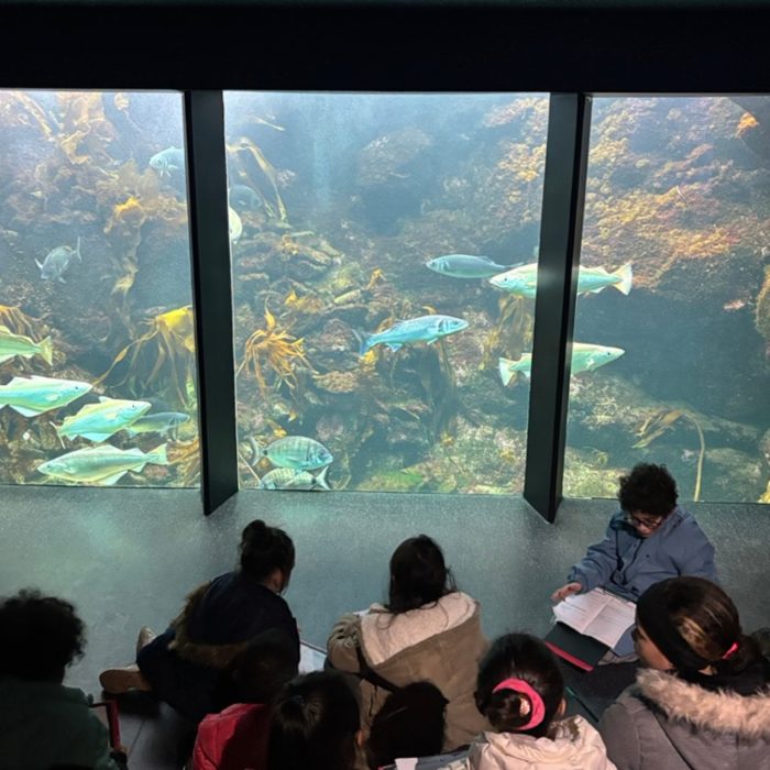 APECS Bilan des animations scolaires 2026
