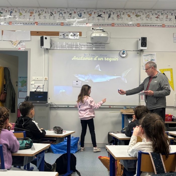 APECS Bilan des animations scolaires 2026