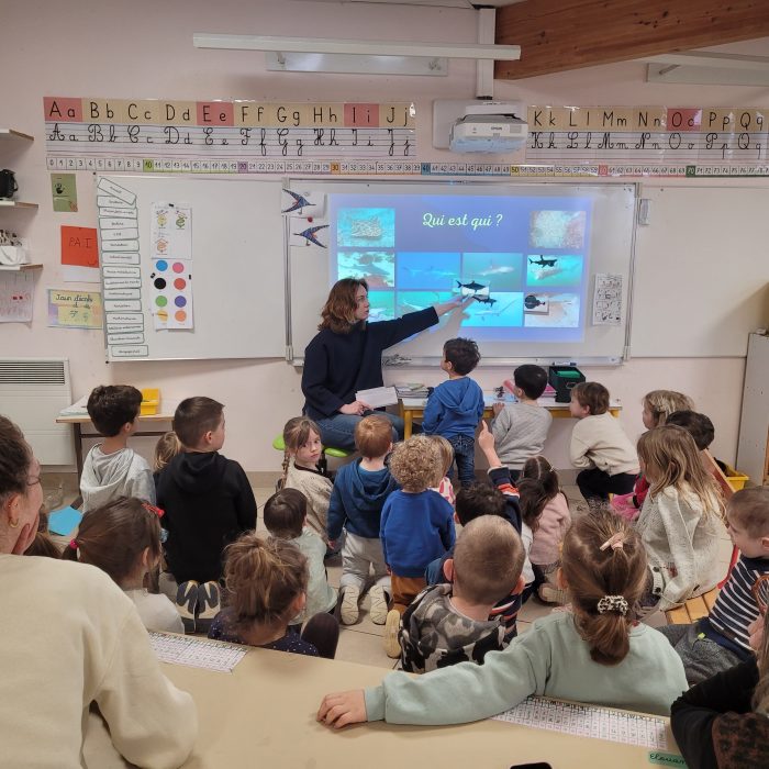 APECS Bilan des animations scolaires 2026