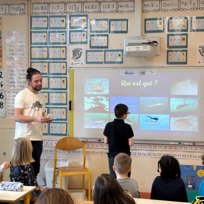 APECS Bilan des animations scolaires 2026