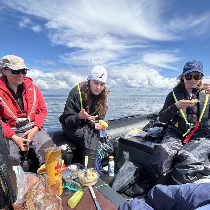 APECS Journée mondiale des océans x PELARGOS