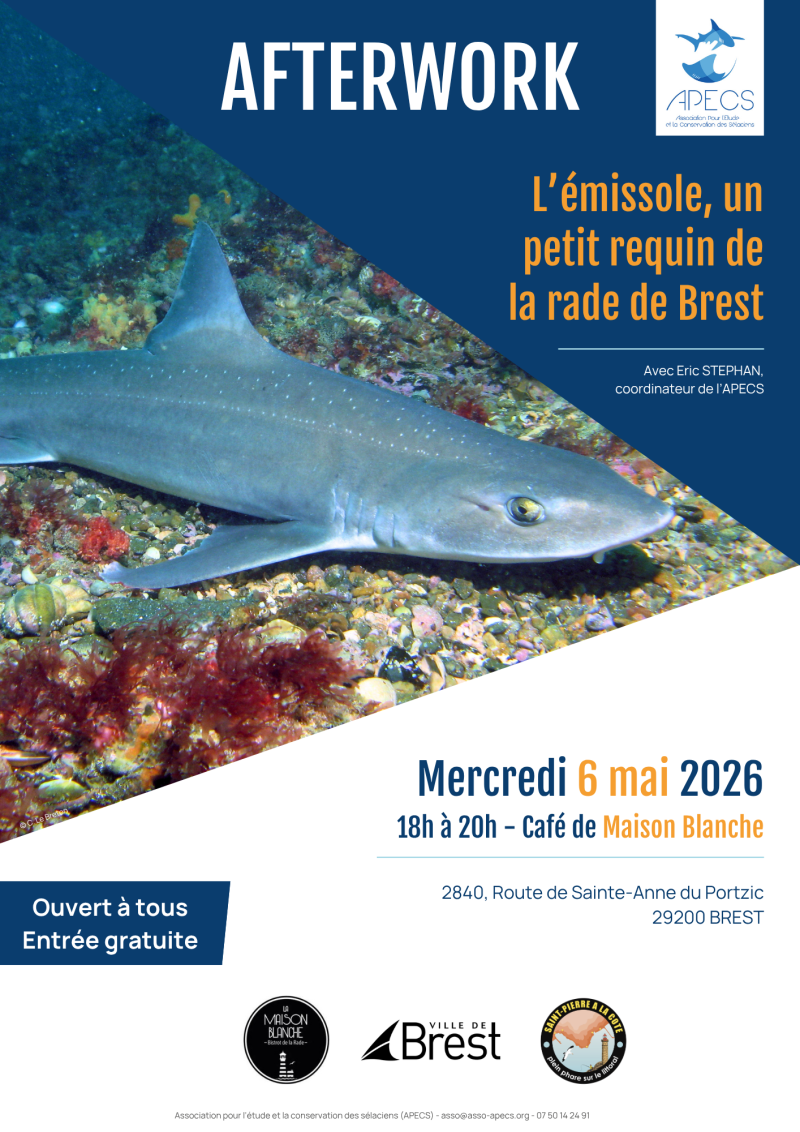 APECS Agenda : les rendez-vous du mois de mai dans le Finistère