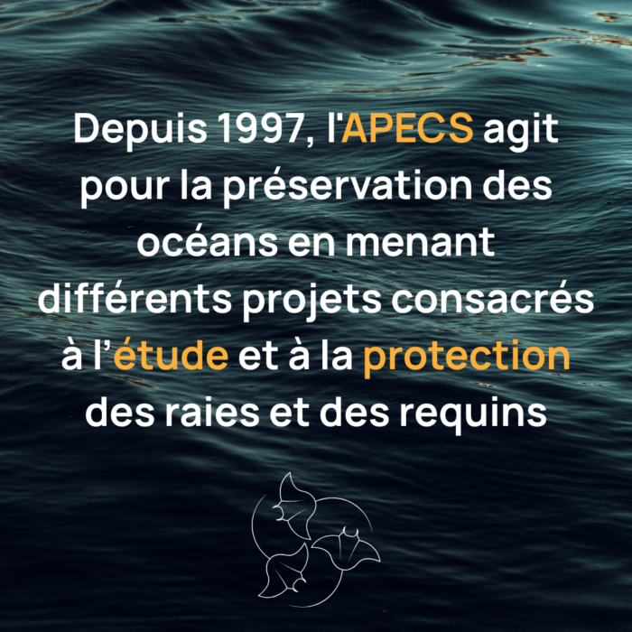 APECS Journée mondiale de l&rsquo;Océan