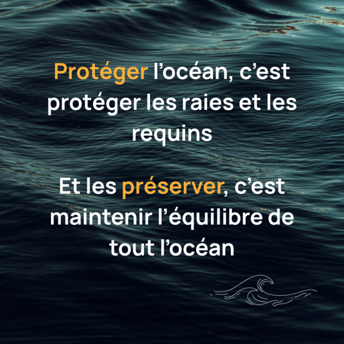 APECS Journée mondiale de l&rsquo;Océan