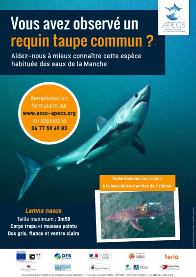 Vous avez observé un requin taupe commun ?