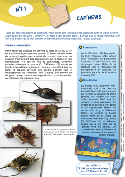 Cap&rsquo;news n°11
