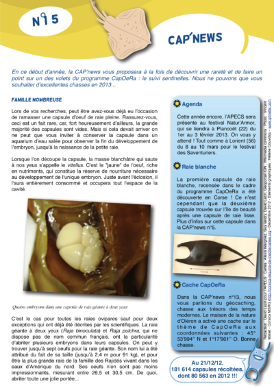 Cap&rsquo;news n°15