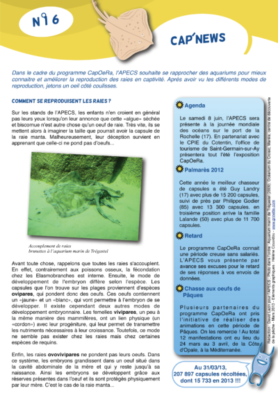Cap&rsquo;news n°16