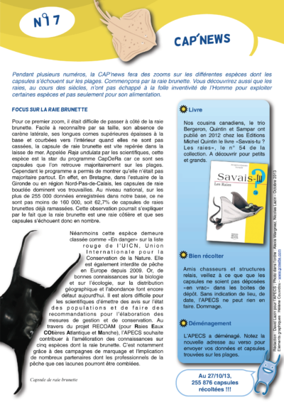 Cap&rsquo;news n°17