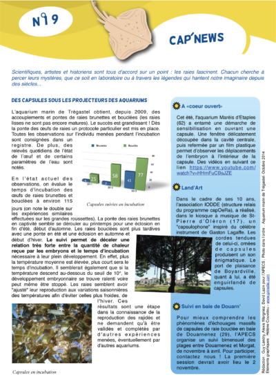 Cap&rsquo;news n°19