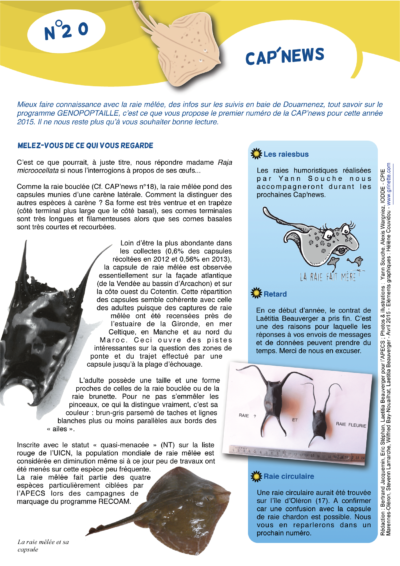 Cap&rsquo;news n°20