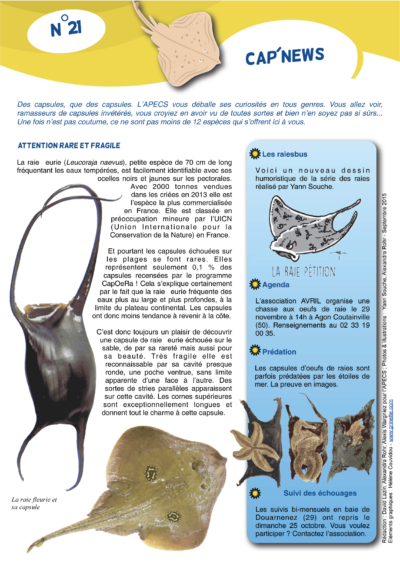 Cap&rsquo;news n°21