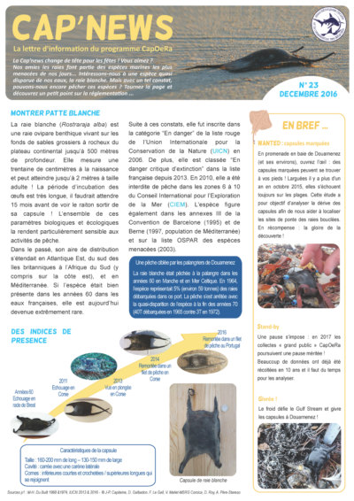 Cap&rsquo;news n°23