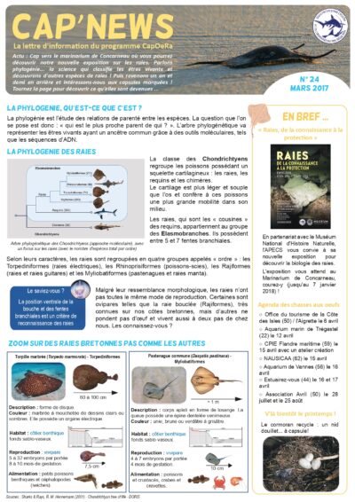 Cap&rsquo;news n°24