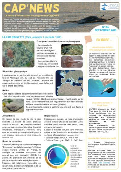 Cap&rsquo;news n°26