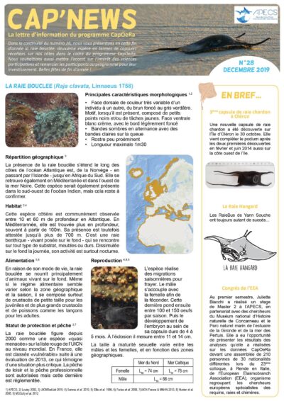 Cap&rsquo;news n°28