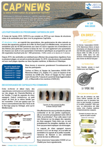Cap&rsquo;news n°29