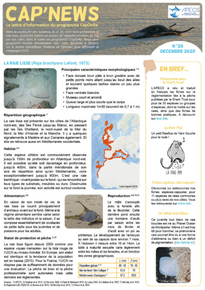 Cap&rsquo;news n°30
