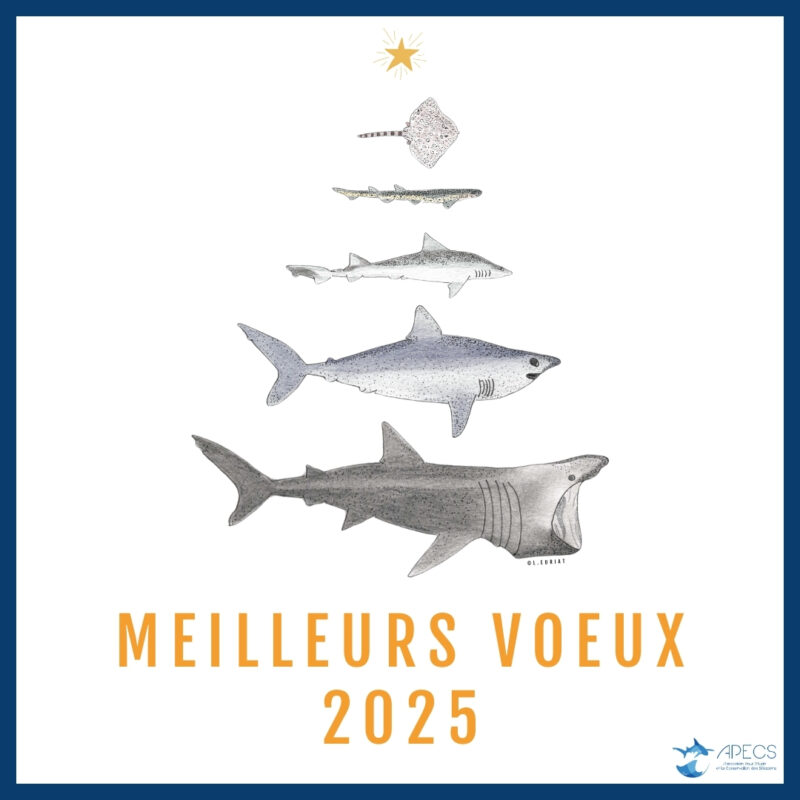 APECS Toute l&rsquo;équipe de l&rsquo;APECS vous souhaite une excellente année 2025 !