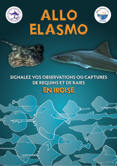 Guide AlloElasmo