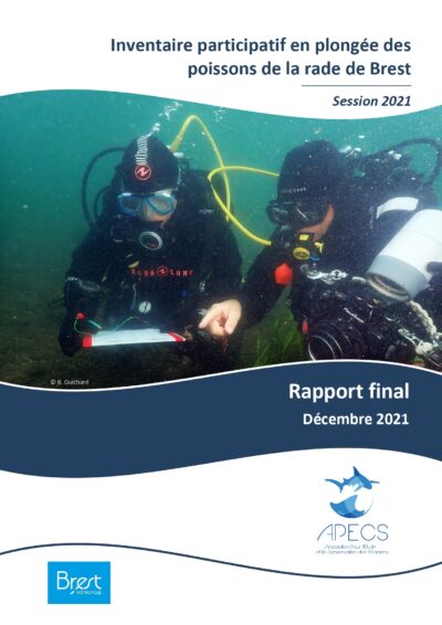 Inventaire participatif en plongée des poissons de la rade de Brest, rapport annuel 2021