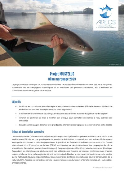 Bilan MUSTELUS 2023
